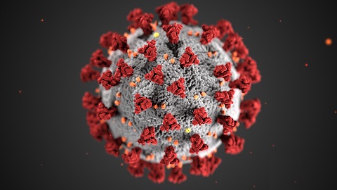 Coronavirus Update