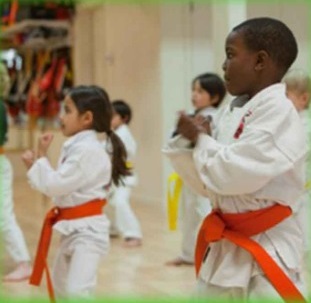Ho Shin Do No-Contact Karate for Children