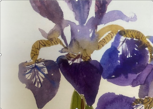 Spring Watercolour Workshops