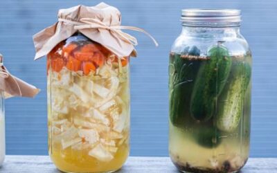Fermenting and Preserving Course