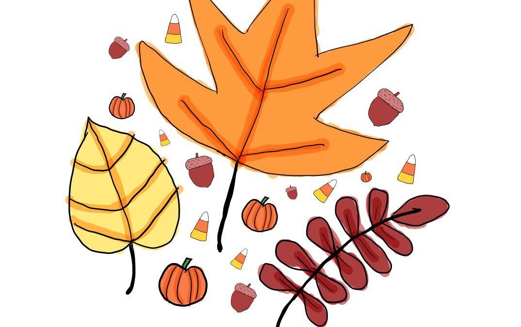 Christine and Anita’s Autumn Quiz and Curry!