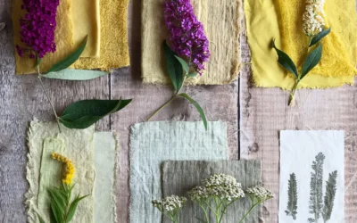 Local Colour – Walk, Garden and Craft